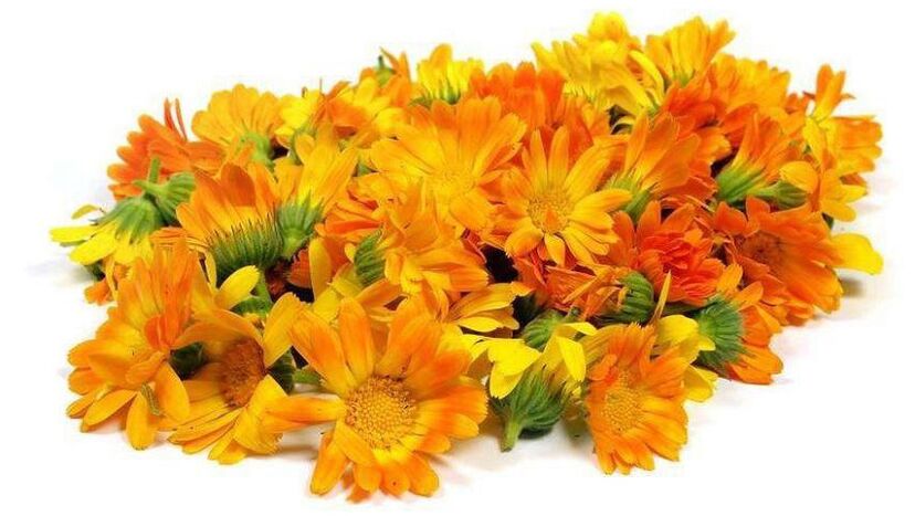 Calendula extract in ZXCVBNQWERT