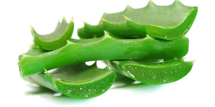 Aloe for the treatment of the nail fungus